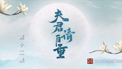 tv poster