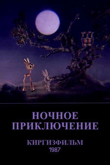 Poster do Filme Ночное приключение