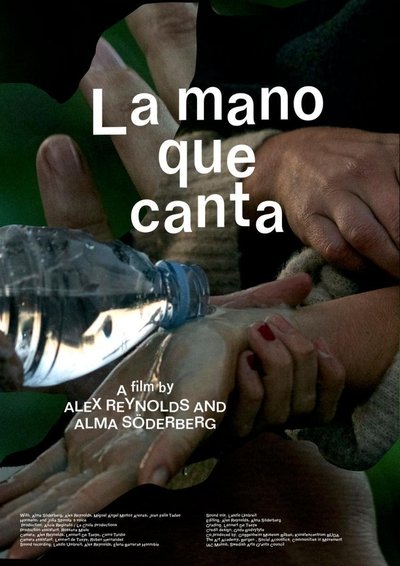 Poster do Filme The Hand That Sings