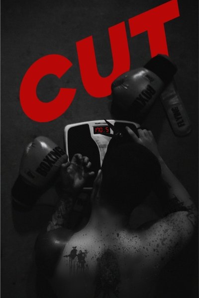 Poster do Filme Cut