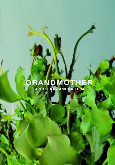 movie poster for Grandmother