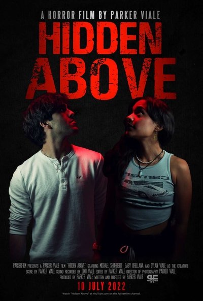 Poster do Filme Hidden Above