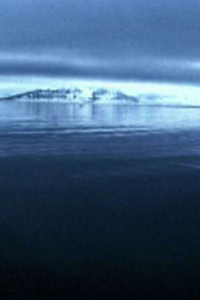 Poster do Filme Le cercle