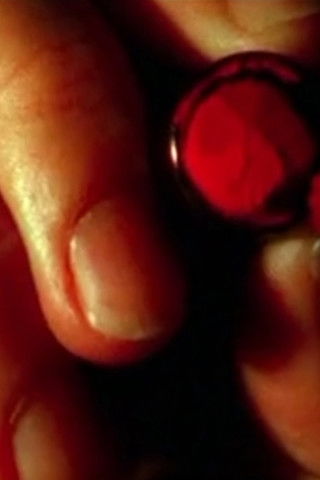 Poster do Filme Parabellum Girl