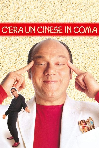 Poster for the movie C'era un cinese in coma