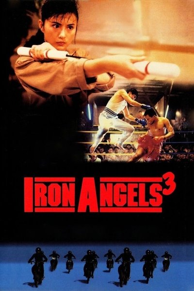 Poster for the movie Iron Angels 3