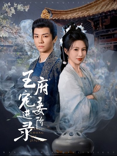 poster for 王府宠妾进阶录