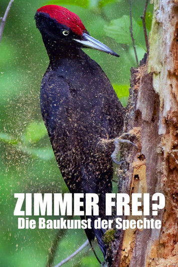 Poster do Filme Zimmer Frei? Die Baukunst der Spechte