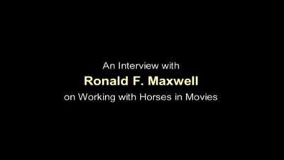 Working with Horses in Movies