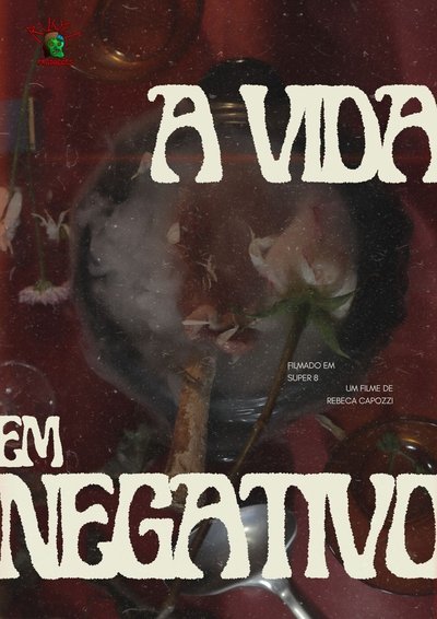 Poster do Filme A Vida em Negativo
