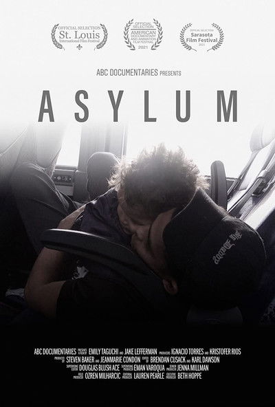 Poster do Filme Asylum