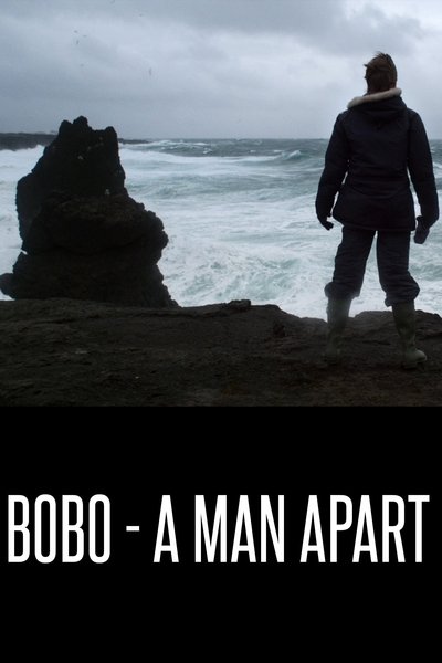 movie poster for Bobo - A Man Apart