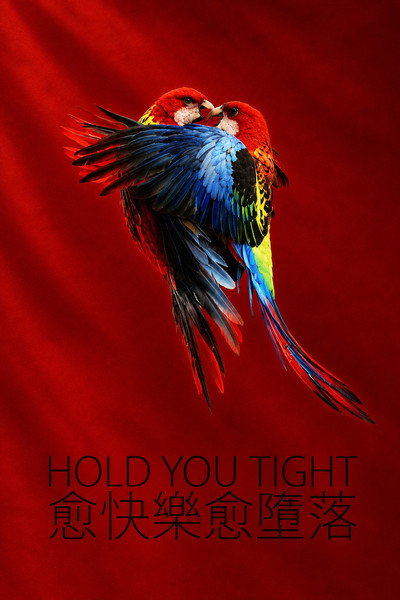 Hold You Tight