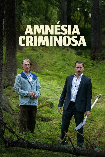 Poster do Filme Amnésia Criminosa
