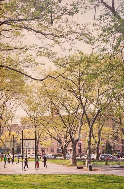 movie poster for The Park