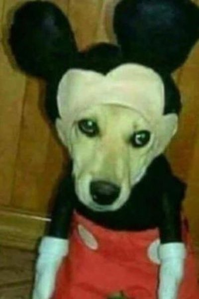 Imagem de Мики