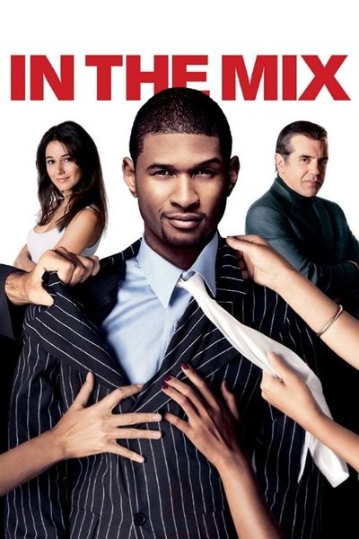 Poster for the movie In The Mix