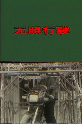 Poster do Filme 无照行驶