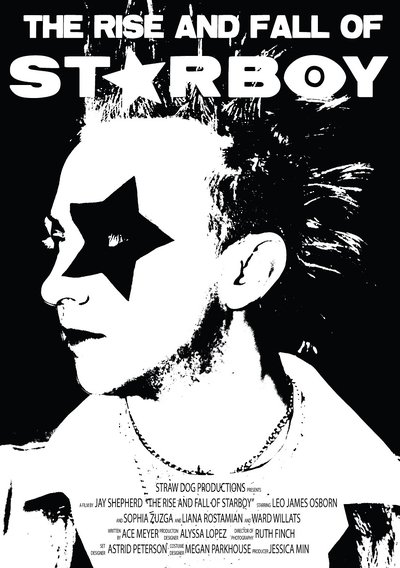 movie poster for The Rise and Fall of Starboy