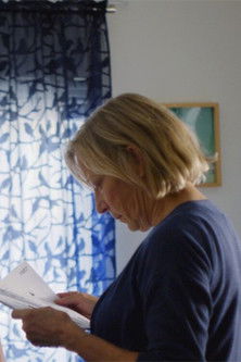 Poster do Filme Visitor