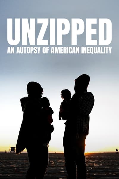 Unzipped: An Autopsy of American Inequality