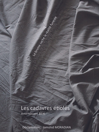 Poster do Filme Les cadavres étiolés