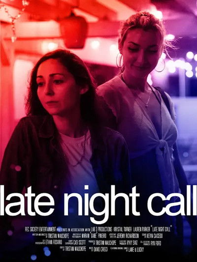 Poster do Filme Late Night Call