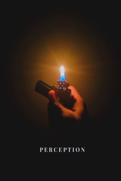 movie poster for Perception