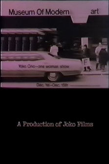 Poster do Filme The Museum of Modern Art Show