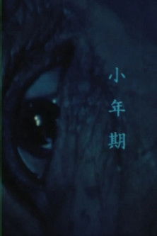 Poster do Filme Brushing