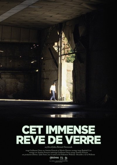 Poster do Filme Cet immense rêve de verre