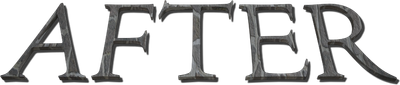 After Logo