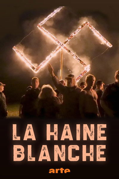 poster for La haine blanche