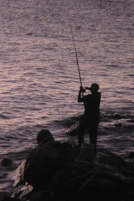 Poster do Filme Colonia