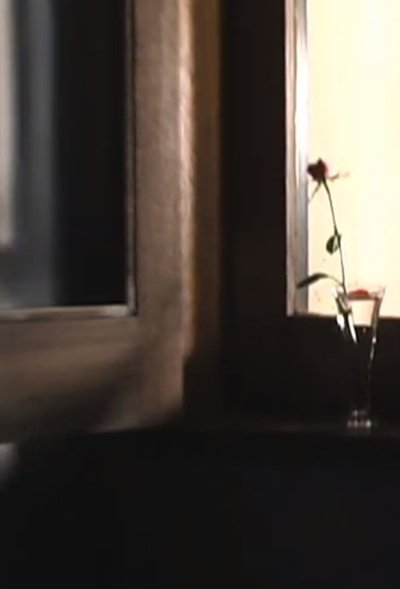 Poster do Filme Rosecolored Flower