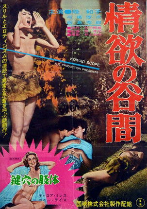 Poster do Filme 情欲の谷間