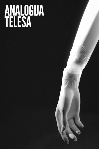 Poster do Filme Analogija telesa