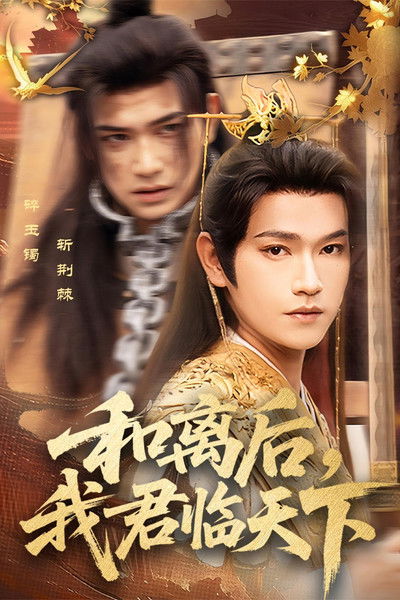 poster for 和离后,我君临天下