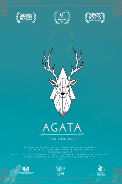 Poster do Filme Ágata