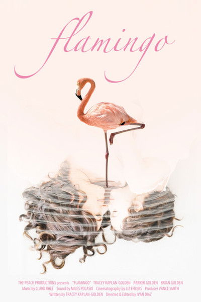 Poster do Filme Flamingo