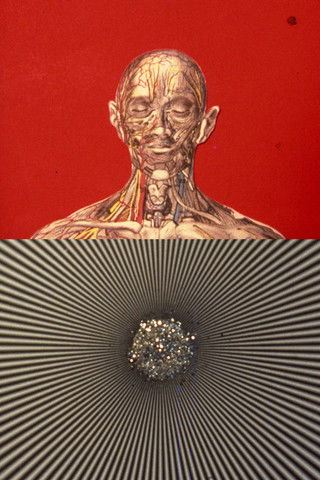 Poster do Filme El mensaje es facial