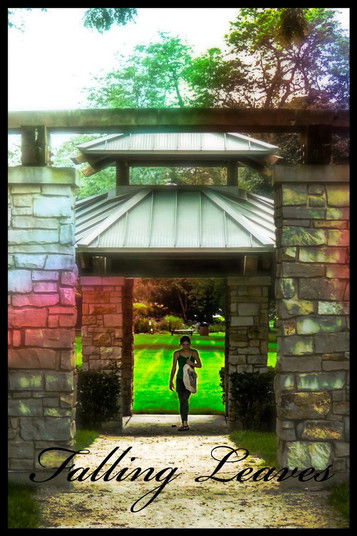 Poster do Filme Falling Leaves