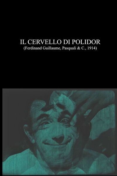 Il cervello di Polidor