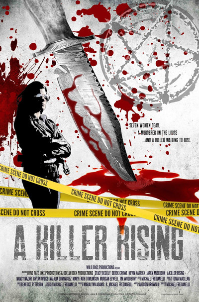 Poster do Filme A Killer Rising