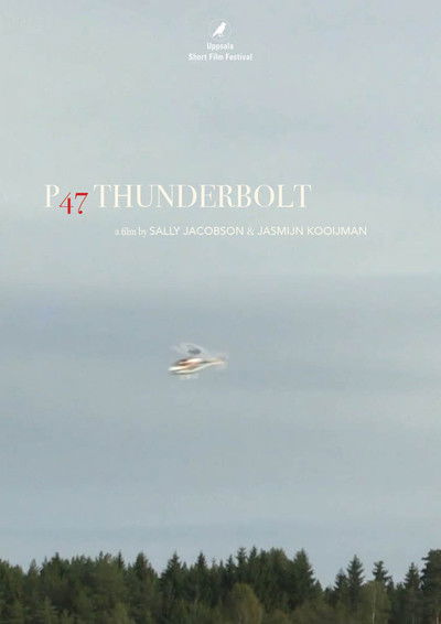 Poster do Filme P47 Thunderbolt