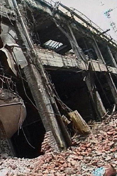 Poster do Filme ArmandoCeste2024