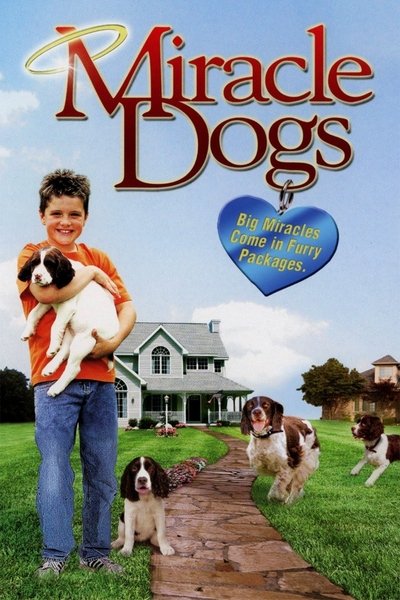 Poster for the movie Miracle Dogs