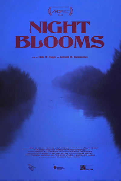 Poster do Filme Night Blooms