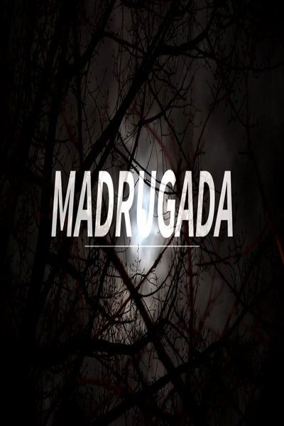 movie poster for Madrugada