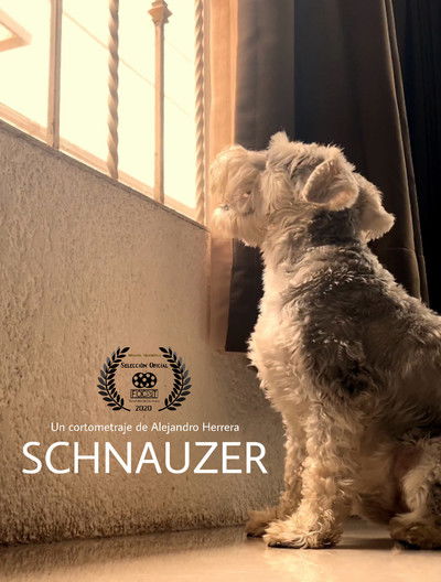 Poster do Filme Schnauzer